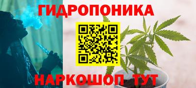 a pvp Донской