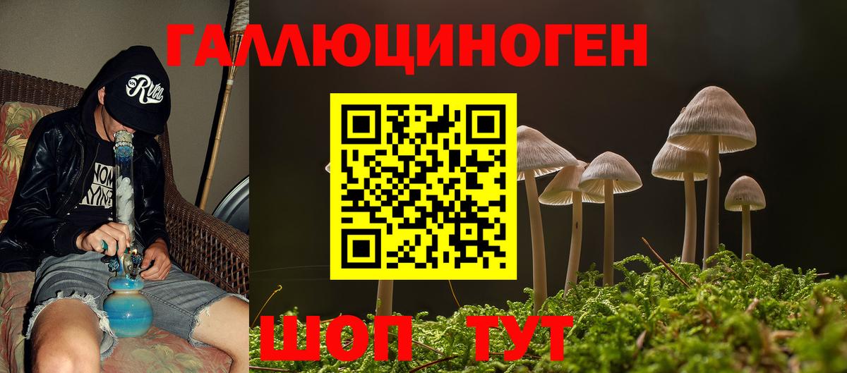 Иркутск  Галлюциногенные грибы Cubensis  даркнет сайт  Вход с VPN 
