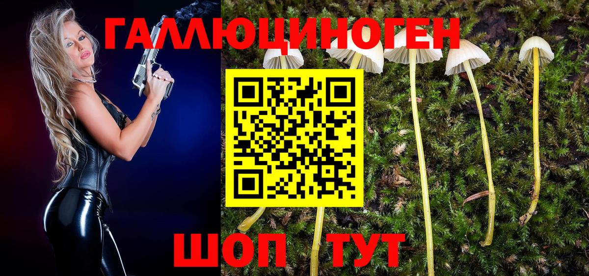 Псилоцибиновые грибы мицелий Иркутск